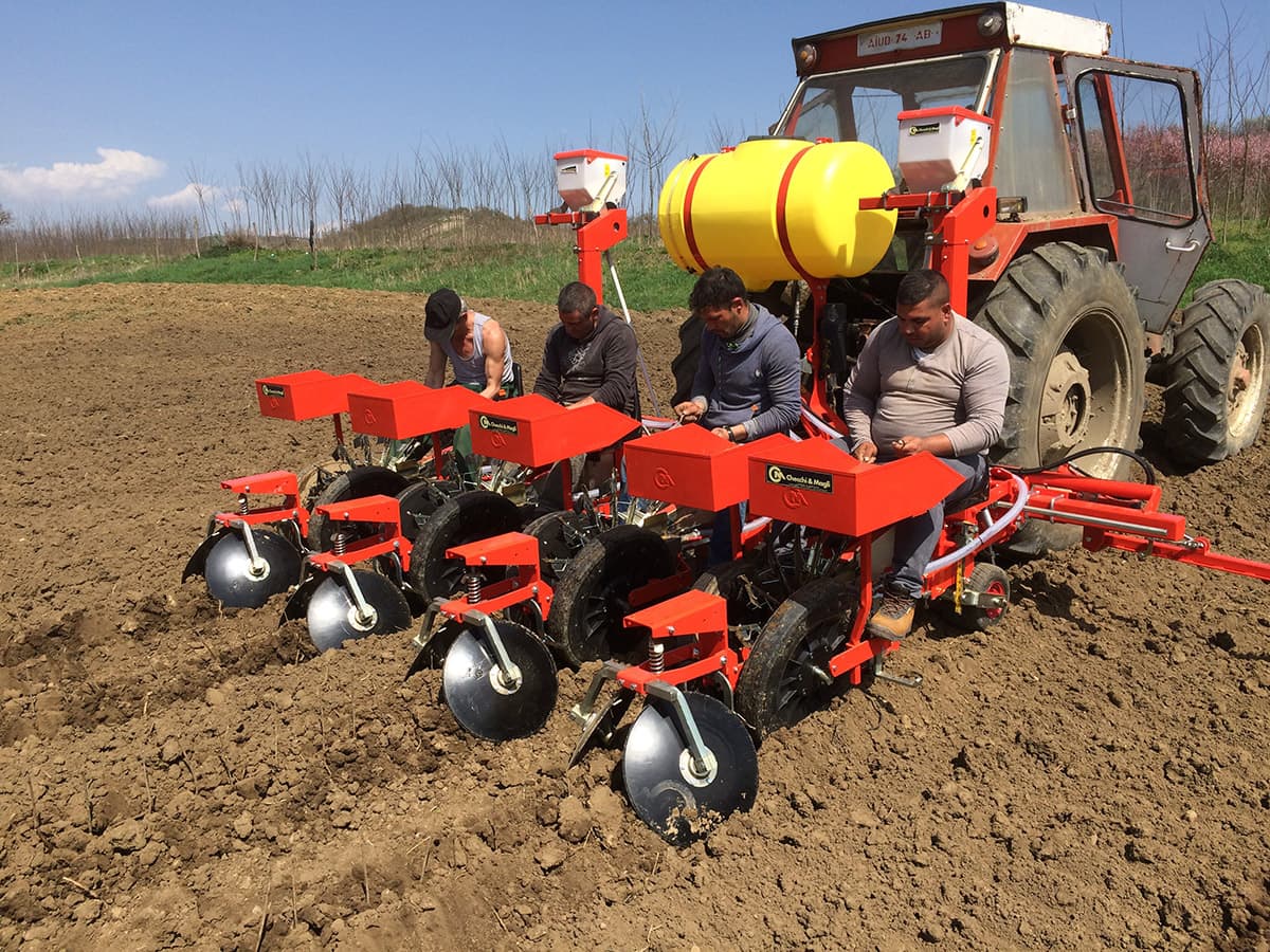 Trasplantadora Foxdrive - Imagen 4