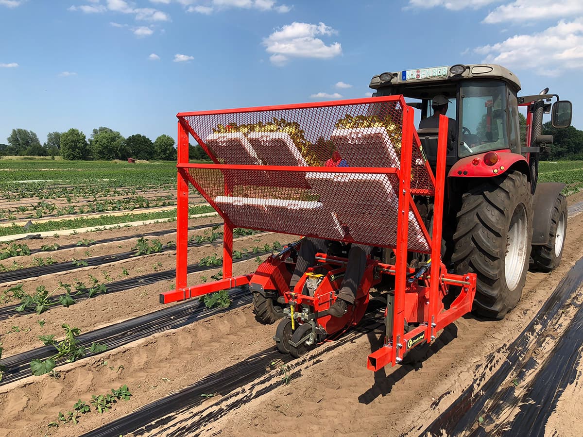 Trasplantadora Hortaliza Wolf - Imagen 3